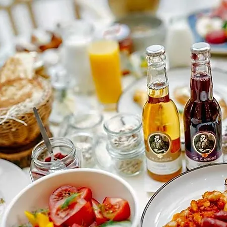 Hotel Akademie A Depandance Jarmila Velké Bílovice